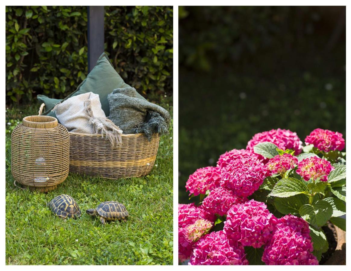 Apartment Garden Santa Chiara